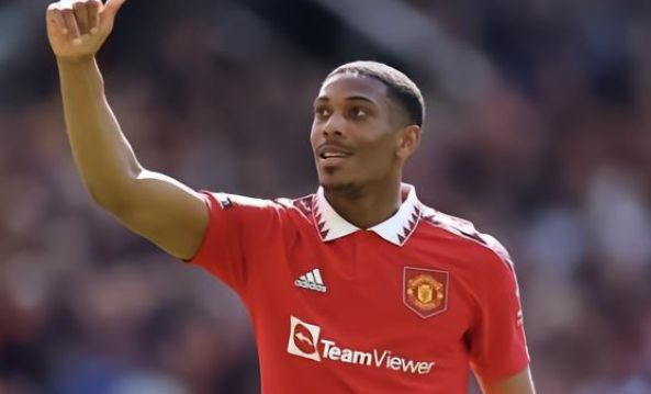 仅体现了南 仅体现了南