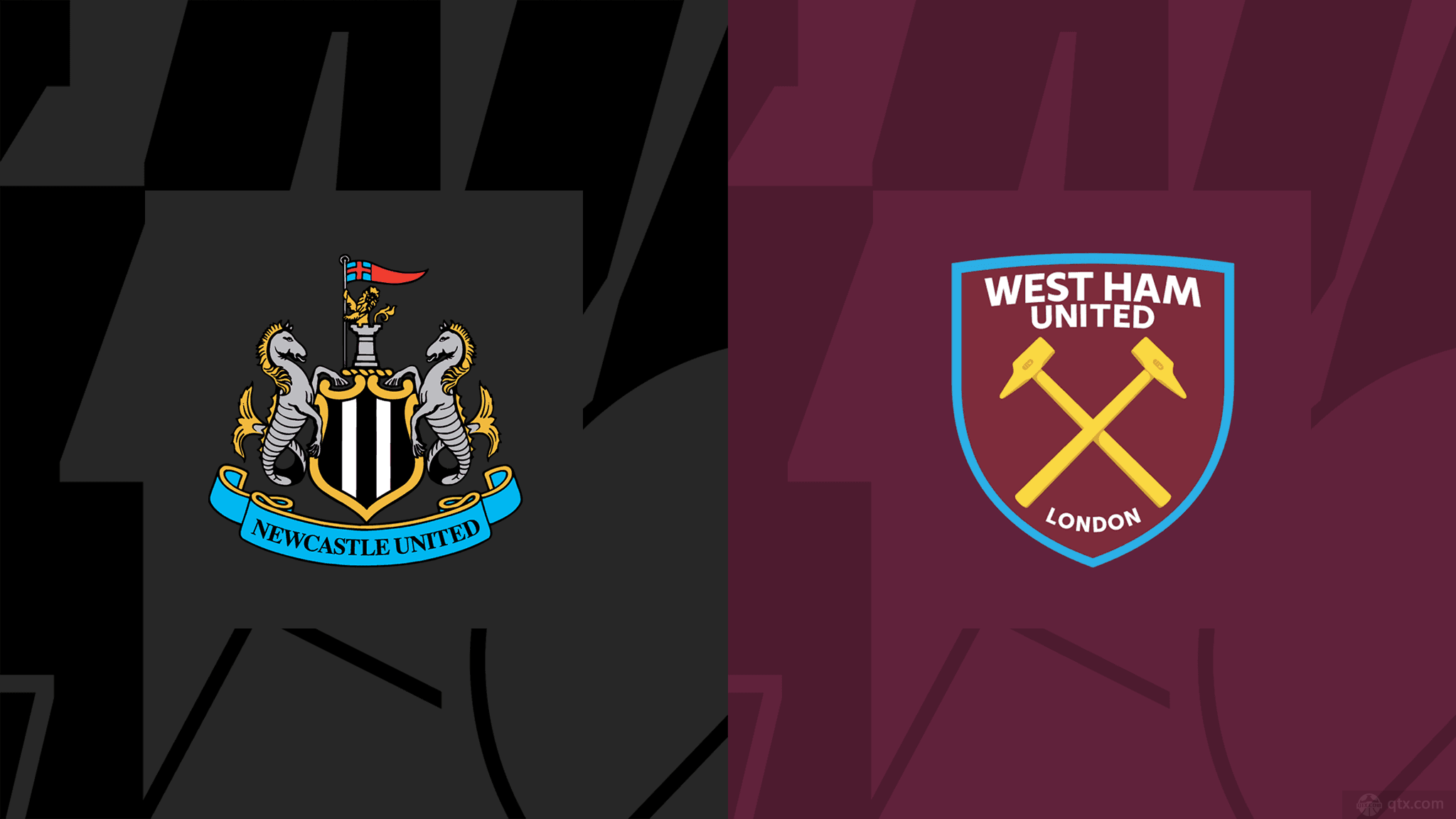 球迷的支持 球迷的支持